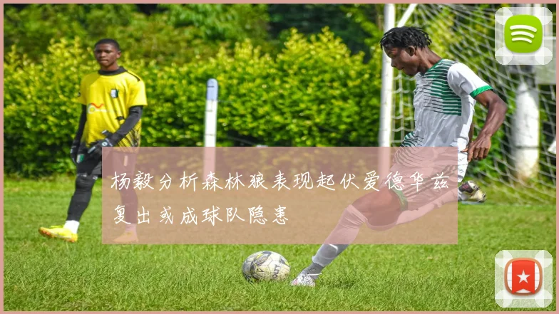 杨毅分析森林狼表现起伏爱德华兹复出或成球队隐患