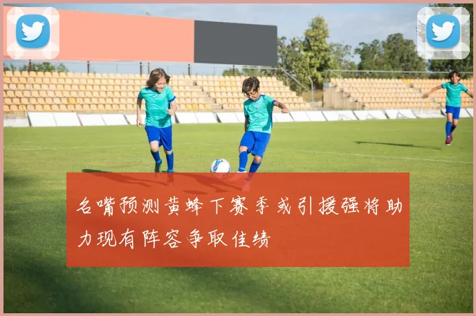 名嘴预测黄蜂下赛季或引援强将助力现有阵容争取佳绩